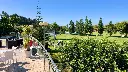 baveria-golf-18.webp