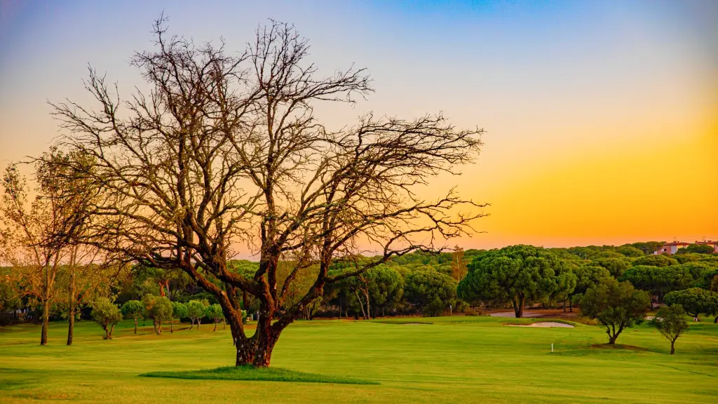bellavista-golf-3.webp