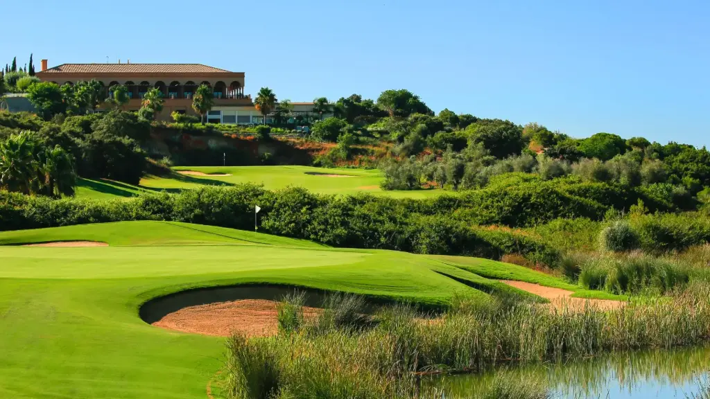 Amendoeira O'Connor Jnr.