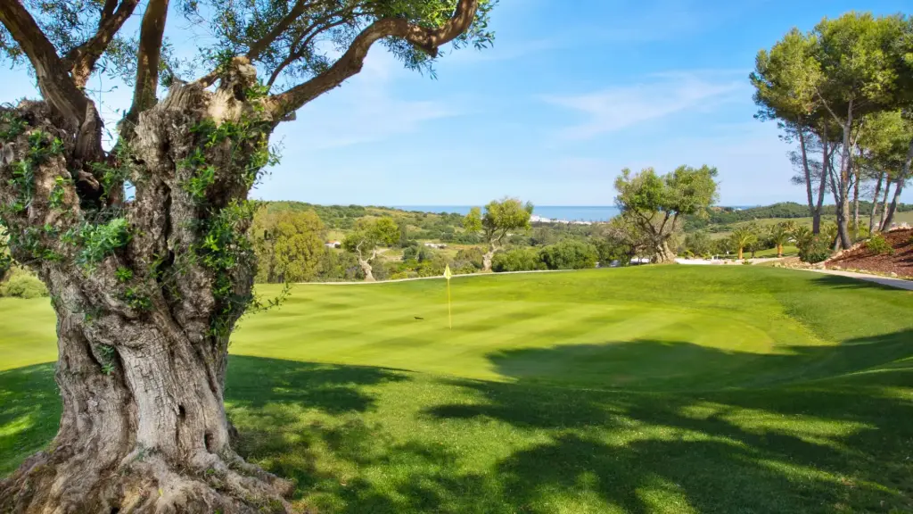 Estepona Golf